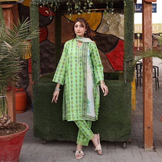 3PC Stitched Printed Lawn Suit