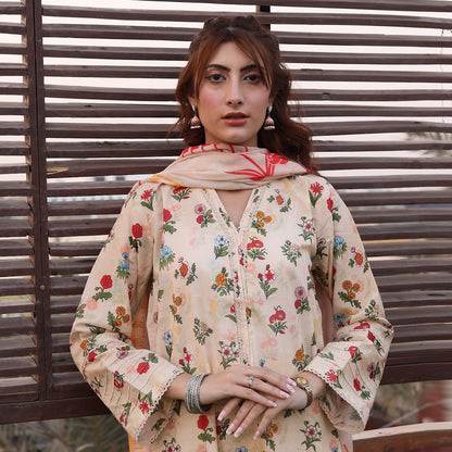 3PC Stitched Printed Lawn Suit