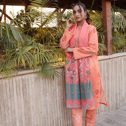 3PC Stitched Printed Lawn Suit