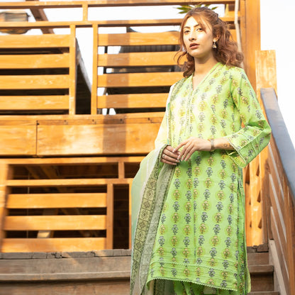 3PC Stitched Printed Lawn Suit